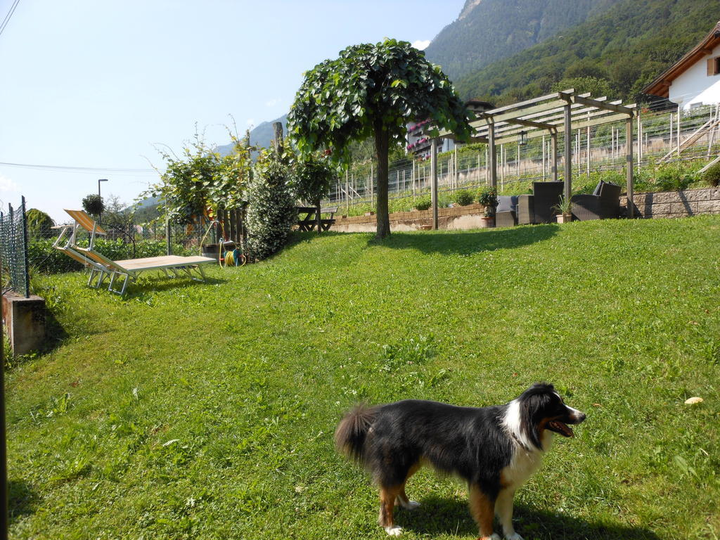 Haus Tirol Daire Caldaro Dış mekan fotoğraf